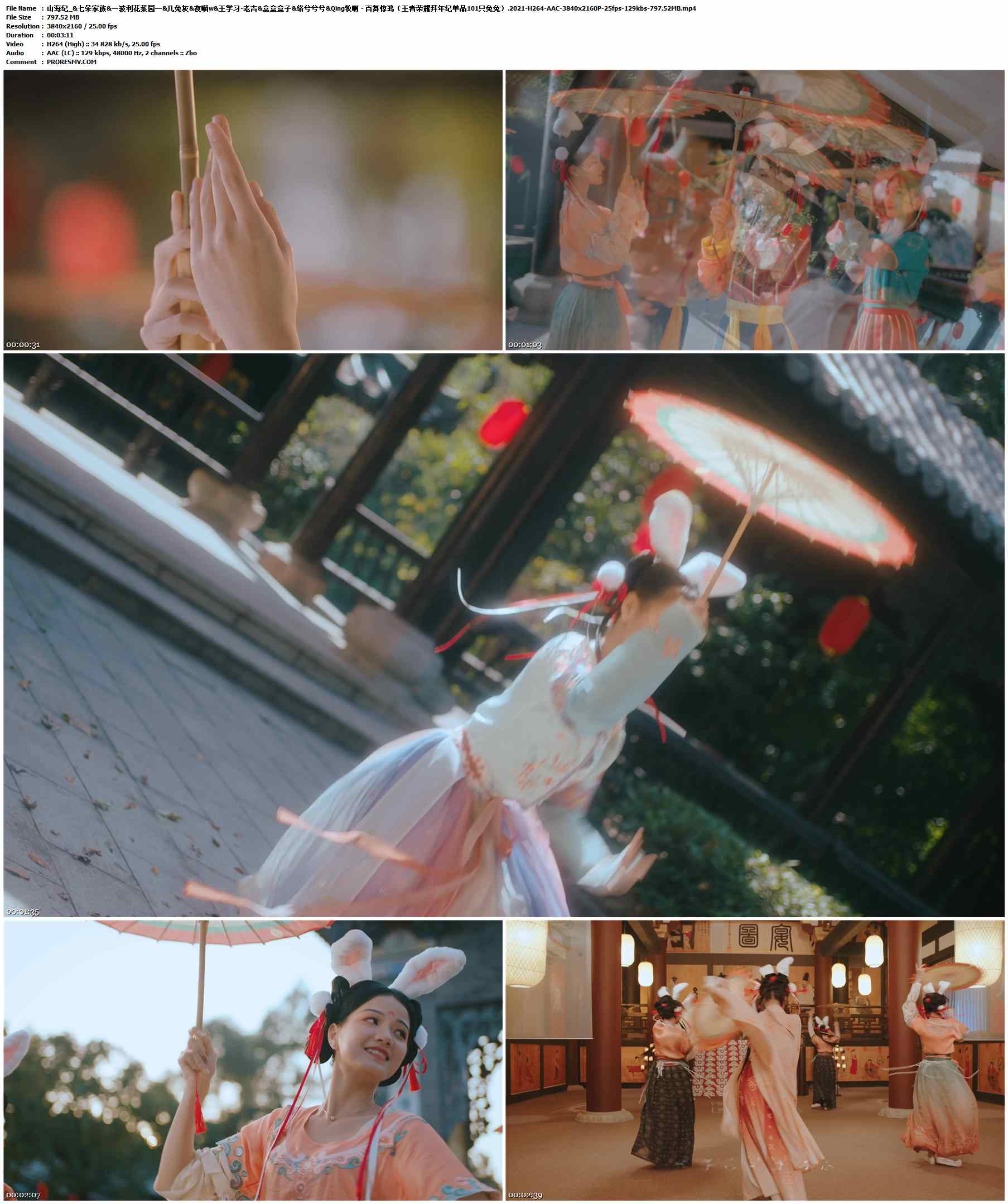 山海纪_&七朵家族&一波利花菜园一&几兔灰&夜喵w&王学习-老吉&盒盒盒子&络兮兮兮&Qing牧啊 - 百舞惊鸿（王者荣耀拜年纪单品101只兔兔）.2021-H264-AAC-3840x2160P-25fps-129kbs-797.52MB官方MV_高清MV